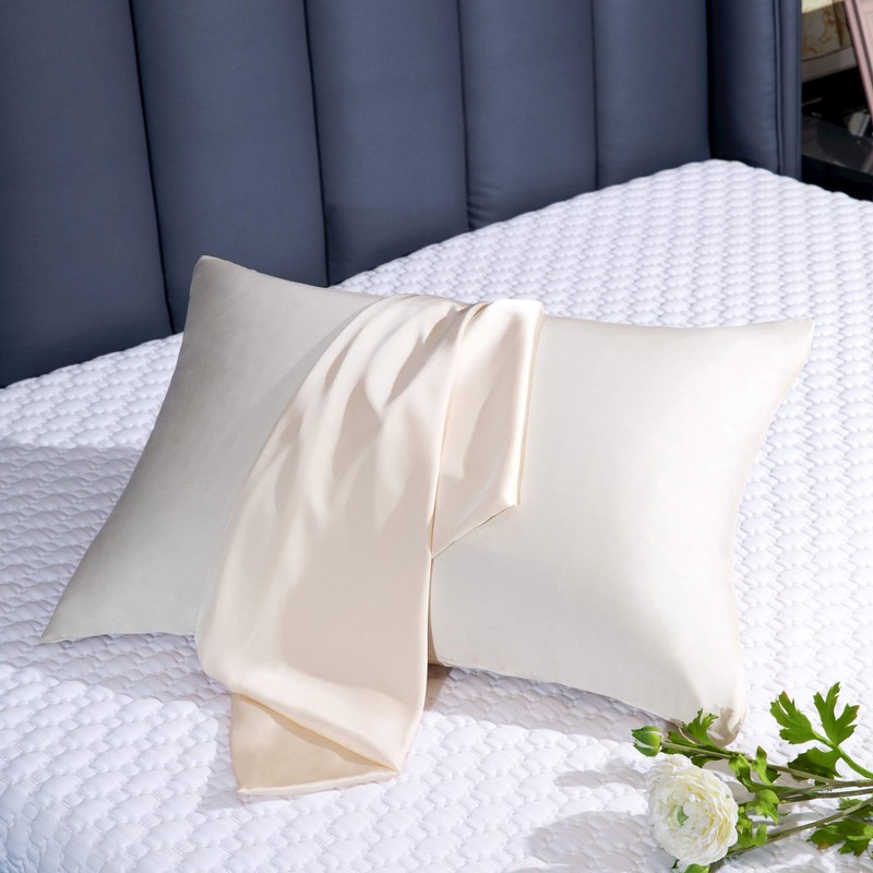 BEIJOEY 100% Mulberry Silk Pillowcase 2 Pack for Hair and