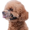 Mayerzon Dog Muzzle, Basket Muzzle for Small Medium Dogs Poodle