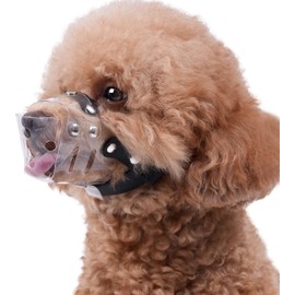 Mayerzon Dog Muzzle, Basket Muzzle for Small Medium Dogs Poodle Dachshund Corgi, Clear Puppy Mouth Cover for Grooming Vet Visits to Prevent Biting Chewing Scavenging, Allow Panting Drinking