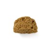 PENNELLIFICIO 2000 Natural Mediterranean Sea Sponge for Decorative Effects Wall