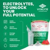 Vitalyte Electrolyte Powder Drink Mix, Isotonic Electrolyte Hydration Mix, Case