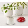 Mushroom Baking Soda Holder For Fridge Deodorizer Ceramic Baking Soda