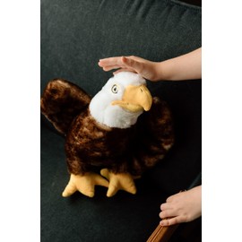 The Petting Zoo Bald Eagle Stuffed Animal Plushie, Gifts for Kids, Earth Keeperz Wildlife Animals, Zoologee Bald Eagle Plush Toy, 12 inches