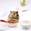 Hamster Bait Dish for Small Animals, Set of 2, Ceramic