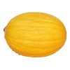 Does Not Apply Canary Melon Seeds Cucumis melo Non-GMO, Shipped