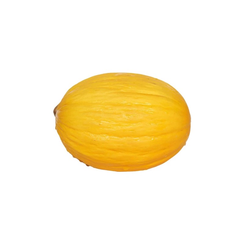 Does Not Apply Canary Melon Seeds Cucumis melo Non-GMO, Shipped
