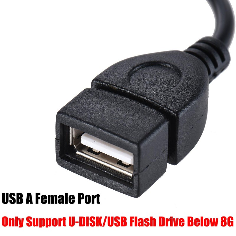 Warmstor 3.5mm (1/8 inch) AUX Audio Plug Male to USB