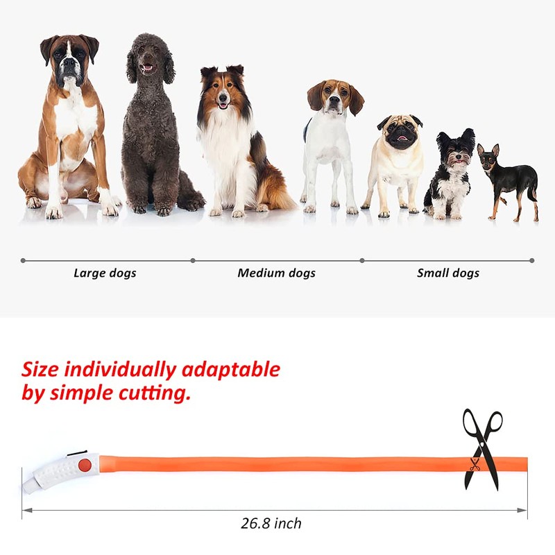 BSEEN Silicone LED Dog Collar - USB Rechargeable Light Up