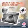 1 x Fridge Magnet - Sleepy Seal Ocean Marine #36437