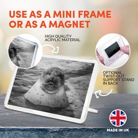 1 x Fridge Magnet - Sleepy Seal Ocean Marine #36437