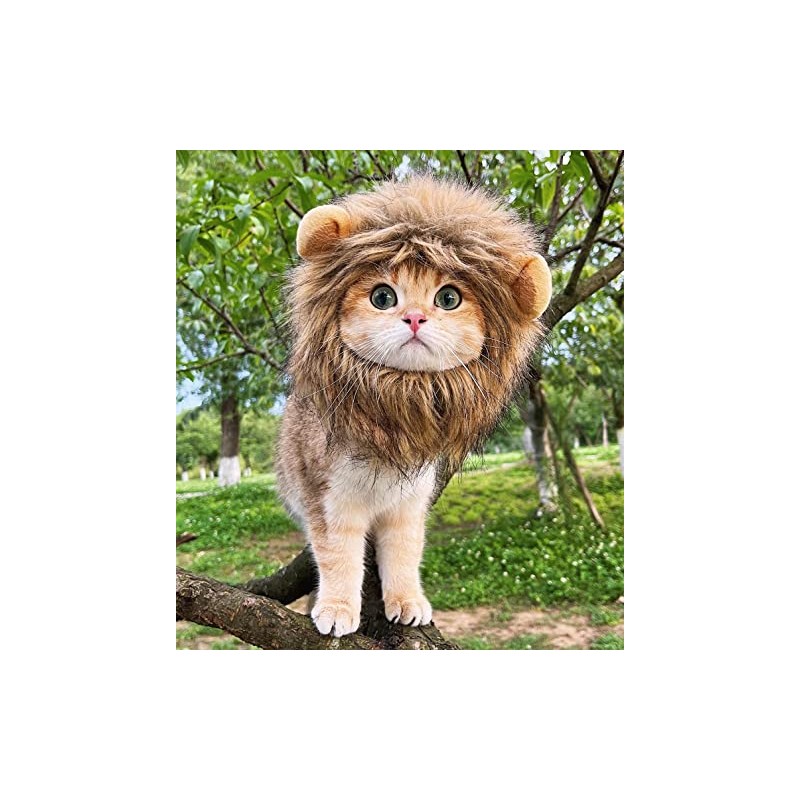 Lion Mane Wig for Dog and Cat Costume