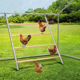 Oranland Chicken Coop Roosting Bars,Chicken Perch for Coop,Perfect for Backyard Poultry&Chicken Coop/Easy to Assemble&Clean/Farm Chicken Toys