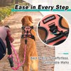 BARKBAY Dog Harness No Pull for Small Dogs - Adjustable,
