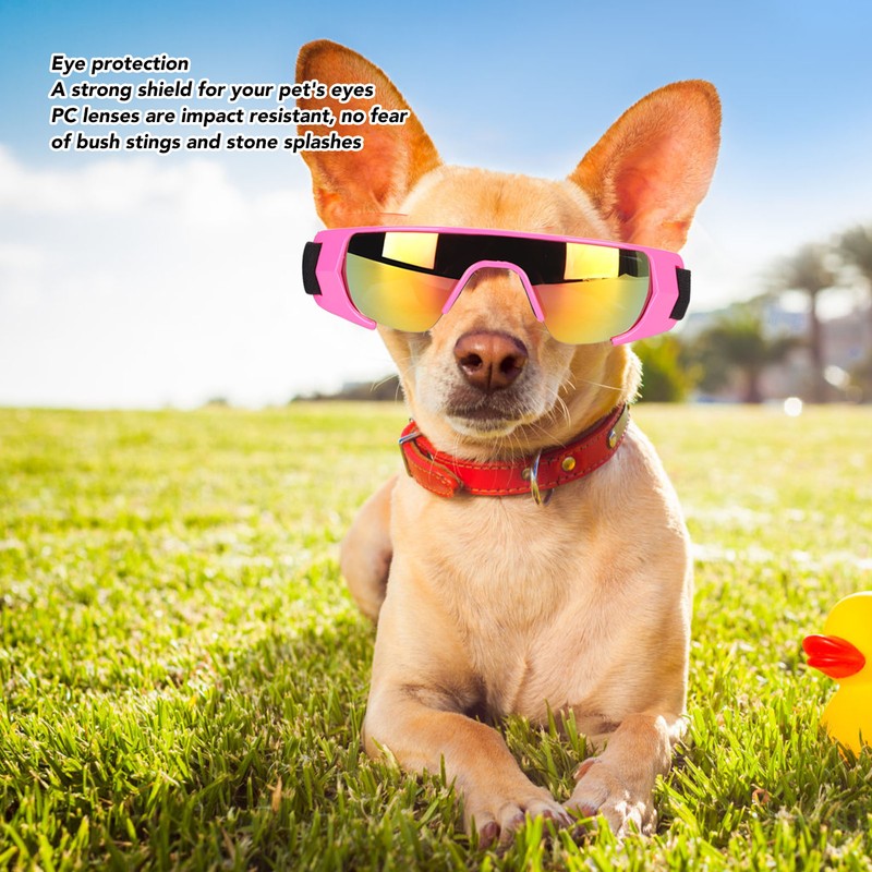 Dog Goggles UV Protection Waterproof Sandproof Soft Frame Adjustable Breathable