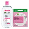 Garnier, Kit Skin Active Micelar Todo En 1 700Ml +