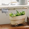 Abite Charle-Cart Silver MW-603-AA 21 x 12 x 19.5