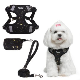 PUPTECK No Pull Dog Harness and Leash Set Reflective No Choke Step in Puppy Halter for XS Small and Medium Sized Dogs, Black, Printed Fabric, XS