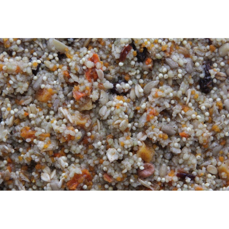 Higgins 2 Pack of Worldly Cuisines Spice Market Bird Treat,