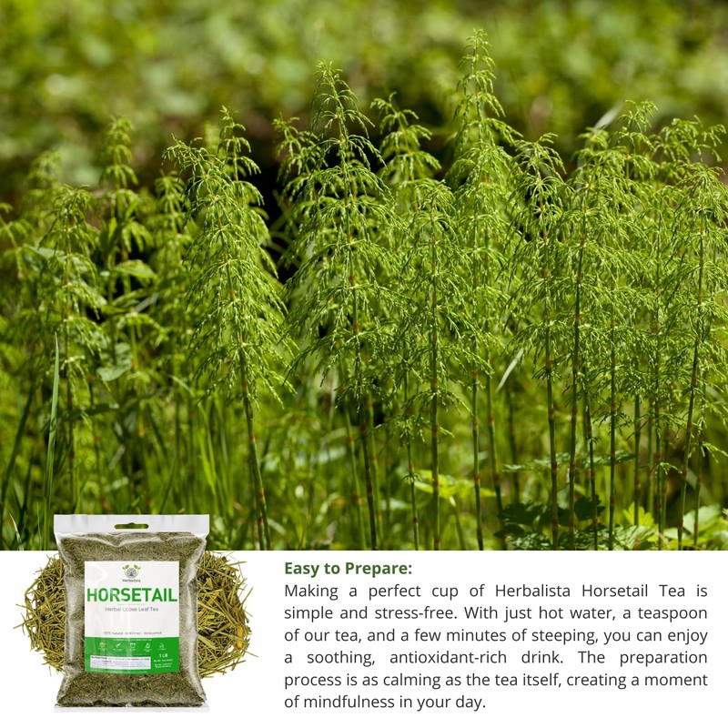 Herbalista Premium Loose Horsetail Tea (4 oz | 113g) |