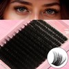 C Curl Lash Clusters Extensions - 280 Pcs of 100D