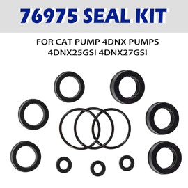 12 PCS Replacement 76975 Seal Kit for 4DNX Pumps Fits for CAT 4DNX25GSI & 4DNX27GSI Pump