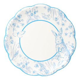 Talking Tables 10 x Paper Plates, Disposable Blue and White Tableware for Kids, Boys, Girls, Adults, Easter, 1st Birthday, Baby Shower, BBQ, Tea Party, Home Recyclable, 23 cm