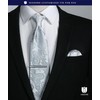 Hisdern TP-01S Men’s Paisley Pattern Necktie and Square Set, Business,