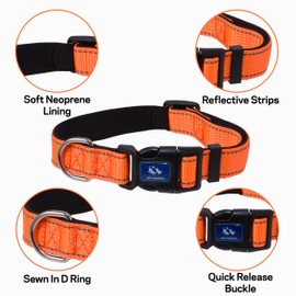 Friendly Whiskers 6ft Dog Leash, Dog Collars, Poop Bag Dispenser, & Collapsible Dog Bowls. Rope Leash for Medium Dogs, with Heavy Duty Nylon Rope. (Orange, Medium)