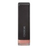 COVERGIRL Lip Perfection Lipstick, Sweetheart 390