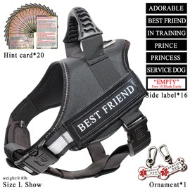 Breathable Dog Vest,Service Dog Harness,ID Tag and ADA Info Cards,ESA Accessory Set,No Pull Escape Proof,Adjustable Reflective Vest Harness for Dogs,Comfort Fit Pet Leash Set (Black, Large)