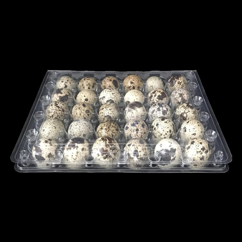 Cabilock Pack of 12 24 Egg Boxes Quail Eggs Transparent