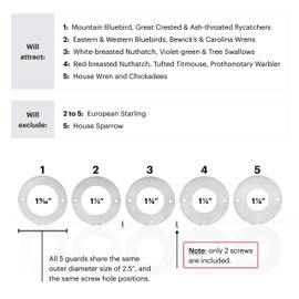 WHITEHORSE Bird House Predator Guards - a Set of 5 Stainless Steel Rings - 5 Different Hole Sizes - Excludes Different Bird Species - Protects The Entry Hole