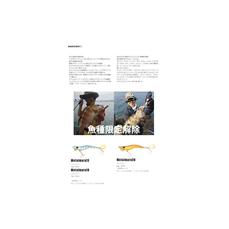 ブリーデン(BREADEN) メタルジグ メタルマル13 シングル 13 プラチナブルー