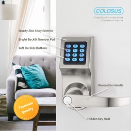 Electronic Smart Door Lock, Keyless Entry with Keypad, Key Fobs, Remote Control, Keys for Home, Office or Commercial, Silver NDL302