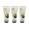 The Face Shop Herb Day Facial Cleansing Foam Aloe 170ml
