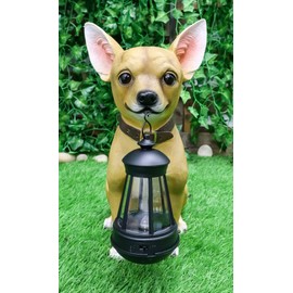 Ebros Picante Mexican Chihuahua Dog Decor Path Lighter Statue 12.5" Tall with Solar LED Light Lantern Lamp This Little Light of Mine