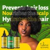 Wini by Locsanity Hair Growth Oil for Locs, Dreadlocks, Dreads,