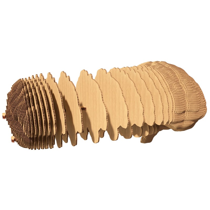 CARTONIC 3D Brain Puzzle - Made from Recycled Cardboard -