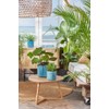 elho The Ocean Collection Round 22cm - Flower Pot Indoor
