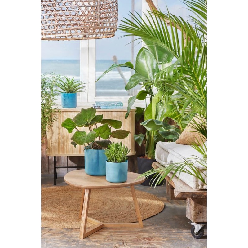 elho The Ocean Collection Round 22cm - Flower Pot Indoor