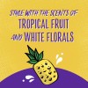 Aussie Miracle Curls Refresher Spray Gel With Coconut & Jojoba