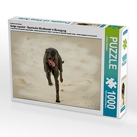 CALVENDO Puzzle One Motif from the Calendar Galgo español - Spanish Greyhounds in Motion 1000 Pieces Puzzle Landscape | 1000 Pieces Laying Size 64 x 48 cm Photo Puzzle for Happy Hours