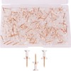 100 Pcs Plastic Heads Steel Tips Thumb Nails for Map