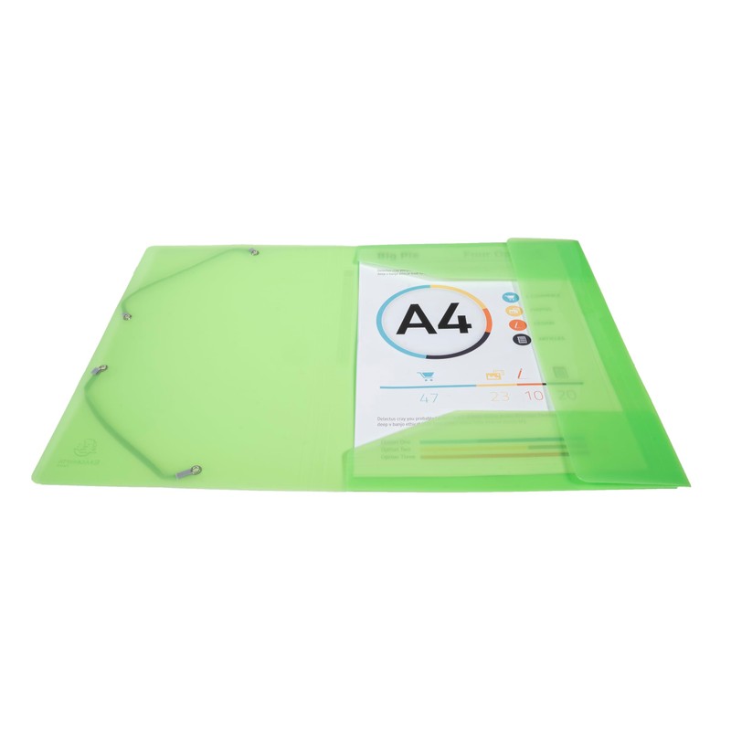 Exacompta - Ref 55673E - Iderama PP Collection - Translucent