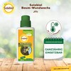 Solabiol Tree Wound Wax, Ready-to-Use Wound Fastener for Fruit Trees