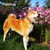 Fidohug Martingale Collar for Dogs with Buckle Floral No Pull
