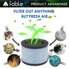 Premium True Filter, DH-JH01 Upgrade Filter Replacement for Aroeve MK01