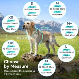 VIVAGLORY Softpad Dog Fleece Vest, Dog Fleece Jacket for Fall & Spring, Coat with Harness Hole, Reflective Light Weight Soft Easy On Adjustable, M, Grey