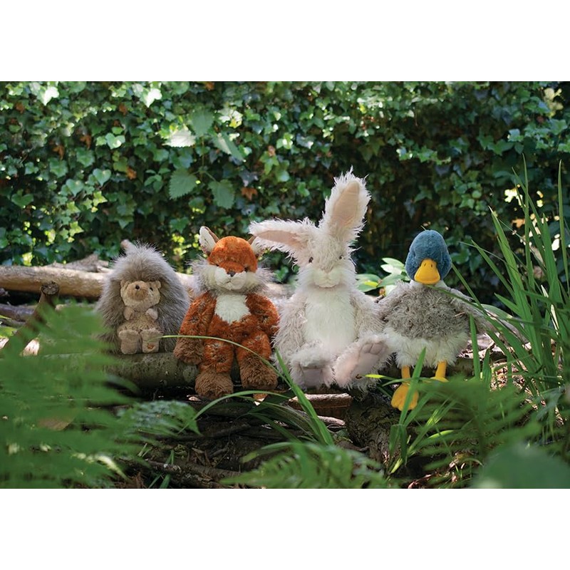 Wrendale Designs - 'Webster Junior' Plush Character