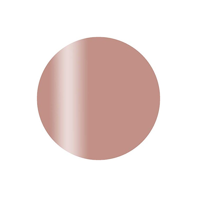 Calgel Plus CGS02BR Brage 2.5g Gel Nail